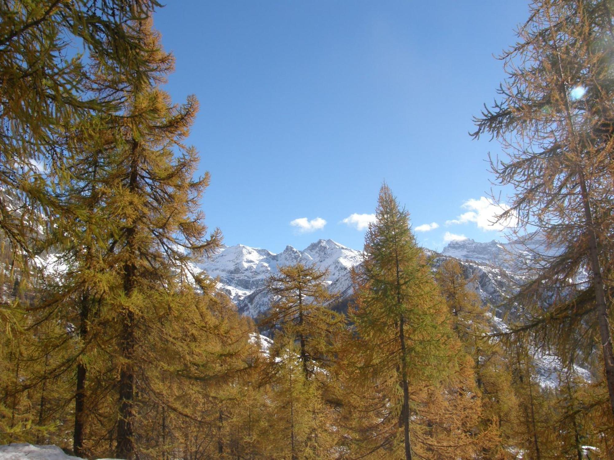 Hotel Gran Baita Gressoney-Saint-Jean Eksteriør billede