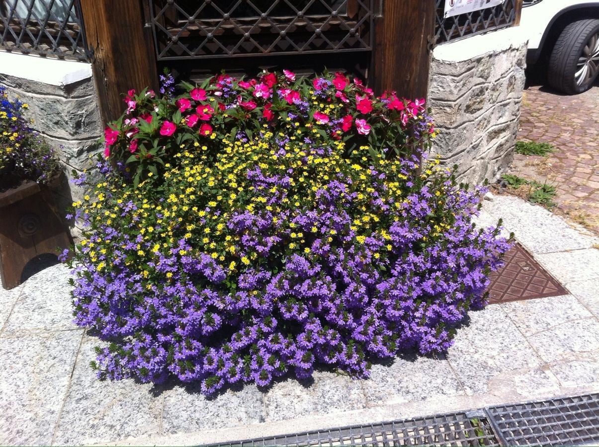 Hotel Gran Baita Gressoney-Saint-Jean Eksteriør billede