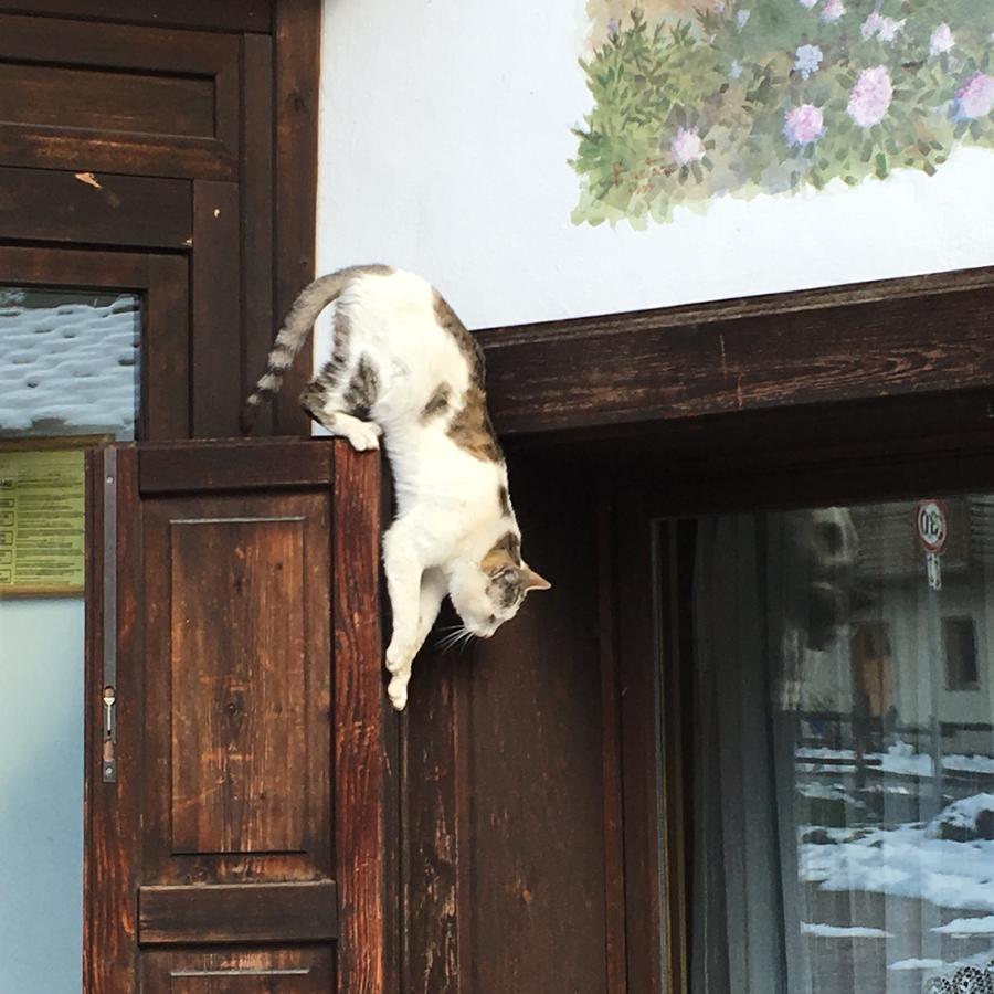 Hotel Gran Baita Gressoney-Saint-Jean Eksteriør billede